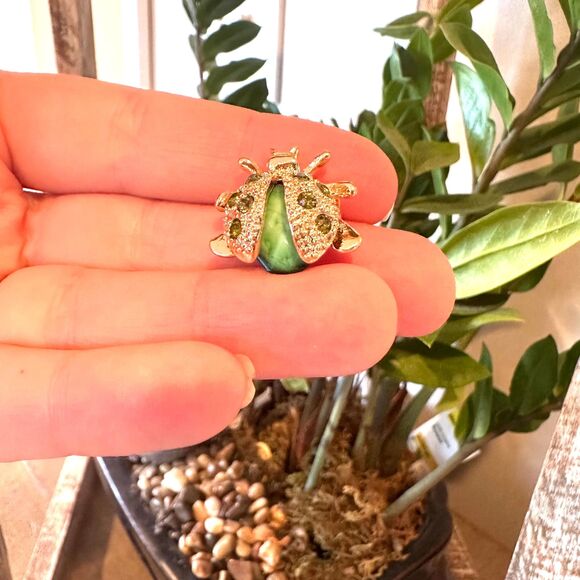 Ladybug Brooch Beetle pin Lady Bug Brooch Unique Pin Gift Montessori - Picture 2 of 4